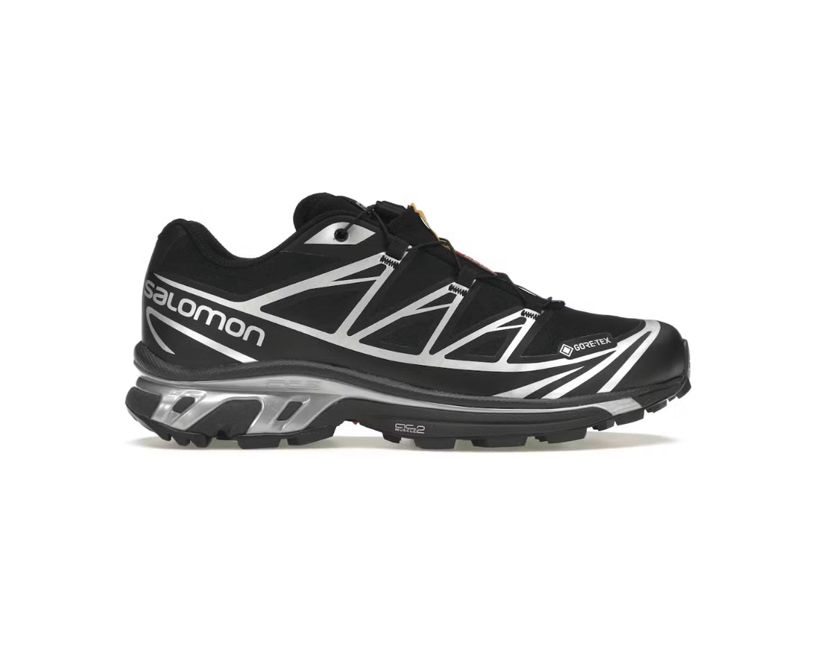 Salomon “XT-6”